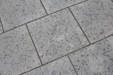 Açık Gri Beton Asma Taşları Şehir Yolları için İnce Doku Desenli Yakın plan