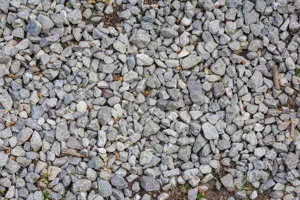 Doğal Küçük Çakıl Taşı Dokuları Karışık Gri Taşların Soyut Desenini Oluşturur