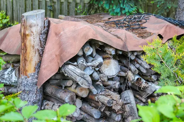 Korumaya alınmış odun yığını. Bahçedeki kuru odunları tutan görünür bir el.