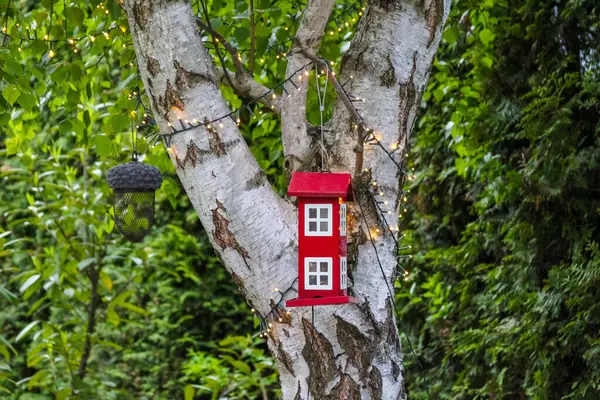 Kentsel Yeşil Alandaki Beyaz Huş Ağacına Kırmızı Elektrik Kutuları Bağlandı