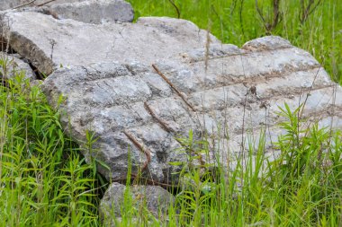 Büyük, yıpranmış beton bir blok çimenli bir tepecikte duruyor, yabani otlarla kaplanmış, kentsel bozulmayı ve endüstriyel terk edilmeyi simgeliyor.,