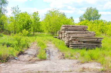 Kırsal bir toprak yol, solunda odun yığınları ve parlak bir gökyüzü altında yoğun yapraklarla yemyeşil bir arazi boyunca esiyor. Bu da kırsal bir huzur ve doğal bolluk hissi veriyor.,