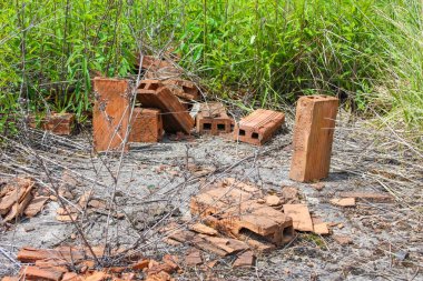 Dağılmış kırmızı tuğla kalıntıları ve kırık parçalar seyrek yeşil yeşilliklerin arasında tozlu zemine uzanıyor. Bu da terk edilmiş bir inşaat alanı ya da yıkım alanı olduğunu gösteriyor.,