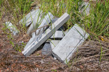 Yıpranmış ahşap kalaslar ve kirişler kuru çimenler ve kir üzerine saçılmış. Çökmüş bir yapının kalıntıları ya da dökülen inşaat malzemeleri olabilir.,