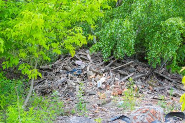 Yeşil yemyeşil bitkiler ve canlı yapraklar, yeryüzüne saçılmış kuru yapraklar ve dallarla ön planda hakimdir. Bu da doğal bir manzaradaki geçişi işaret eder.,