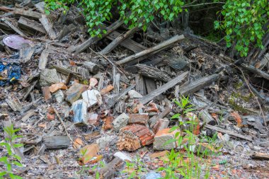 Yıpranmış kayalar ve düşmüş dallar doğal ormanlık alanda orman zeminine saçılmış durumda.