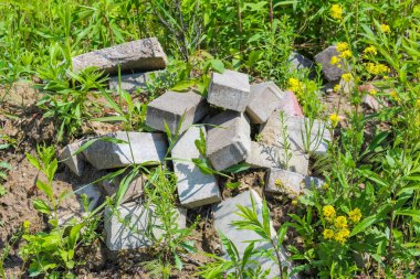 Kırık beton parçaları ve yeşil bitki ve çimenlerin arasına dağılmış inşaat molozu yığını.