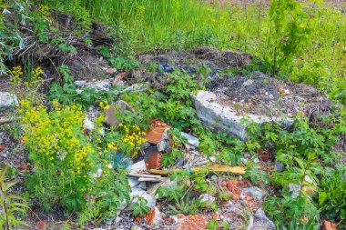 Dağılmış tuğla enkazı ve inşaat malzemeleri, parçalar arasında büyüyen yeşil bitki örtüsüyle yerde kaotik bir düzen oluşturuyor.