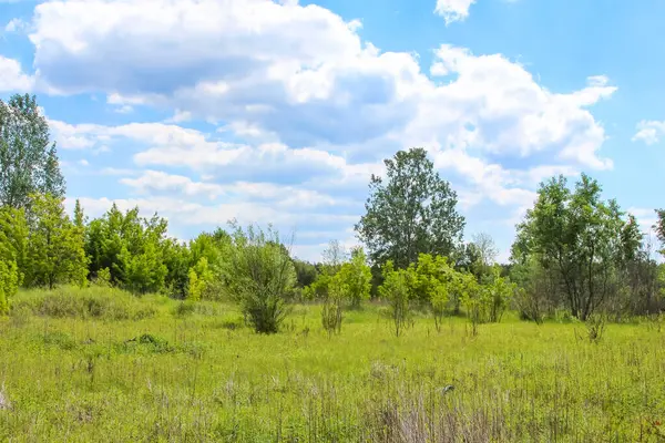 Yeşil çayır ve dağınık ağaçlarla dolu huzurlu kırsal alan parçalı bulutlu mavi gökyüzünün altında