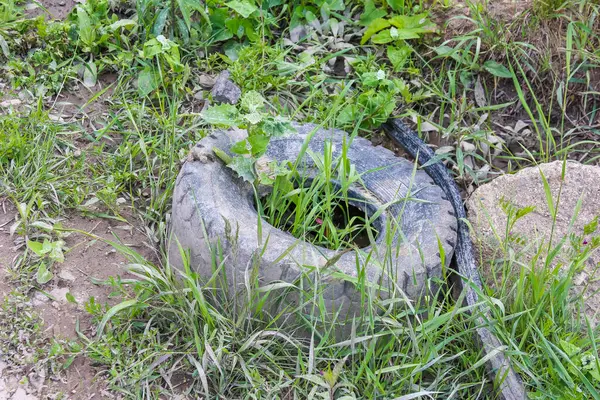 Doğal ortamdaki yabani ot ve bitki örtüsüne yayılmış büyük yıpranmış kayalar.