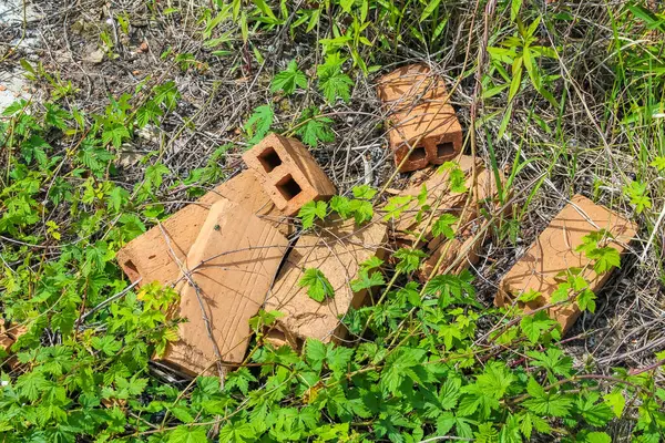 Kırık kırmızımsı kahverengi çömlek parçaları yeşil çimenlerin ve yosunların arasına saçılmış. Bu da antik kalıntıları veya atık eserleri doğal, toprak bir ortamda olduğunu gösteriyor.,