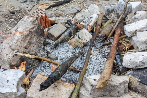 Yanmış odun, kül ve küçük taşlar yere saçılmış. Kamp ateşi ya da küçük bir ateşin kalıntıları, doğada insan aktivitesi olduğunu gösteriyor.,