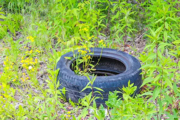 Çöpe atılmış siyah bir araba lastiği kısmen yeşil çimlere ve yabani otlara gömülüp çevresel kirliliği ve doğal ortamdaki ihmali vurguluyor.,