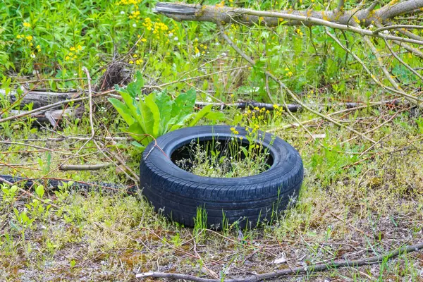 Siyah bir otomobil lastiği yeşil çimenlerin üzerinde durmakta ve çevresel kirliliği ve doğal bir manzara üzerindeki insan etkisini tasvir etmektedir.,