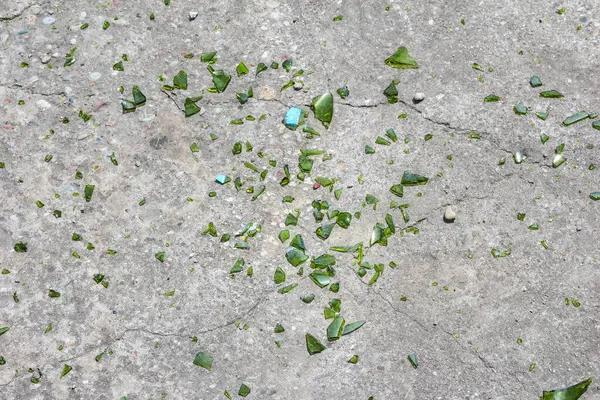 Yıpranmış beton yüzeydeki çatlaklardan filizlenen çok sayıda küçük yeşil filizler doğanın devamlılığını gösteriyor.