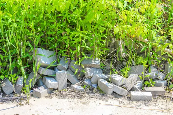 Bitki örtüsünün aşırı büyüdüğü yeşil çimenli alanda beton bloklar ve inşaat atıkları.