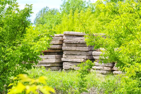 Yığılmış beton bloklar inşaat alanındaki canlı yeşil orman zeminine karşı geometrik desen oluşturur