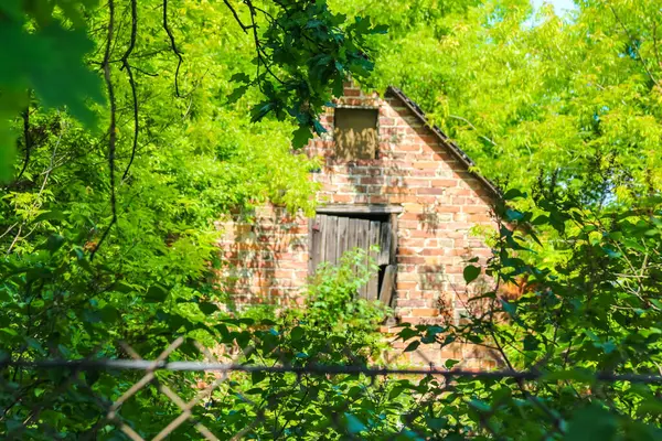 Eski taş kalıntıları kısmen yemyeşil orman bitkilerinin ve aşırı büyümüş ağaçların arasına gizlenmiş.