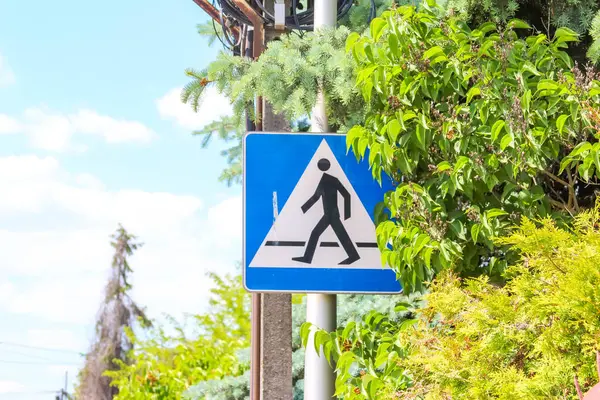 İkamet alanındaki yemyeşil yeşilliklere karşı metal direğe monte edilmiş mavi üçgen yaya geçidi uyarı levhası.