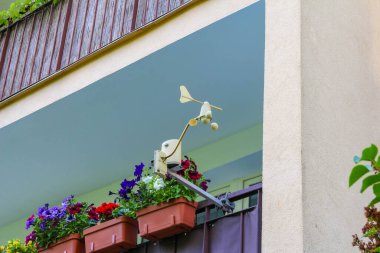 Terracotta çömleklerindeki canlı çiçekli bitkiler, mor çiçekli duvarlar boyunca dizilmiş.
