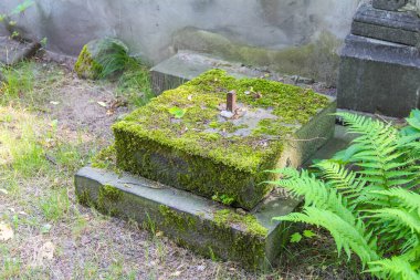 Yosun kaplı taş mezar dekoratif oymalı elementlerle huzurlu mezarlıkta doğal yeşil halı oluşturuyor.