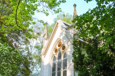 İlkbaharda yeşil ağaçlarla çevrili sivri kemerli Gotik kilise kulesi.