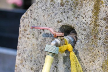 Yeşil yapraklarla çevrili, küçük metal bir musluğun etrafına sarılı sarı bir hortum ile yıpranmış taş bir duvar..