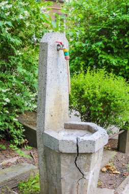 Yıpranmış taştan bir anıt, muhtemelen bir dini ya da anıt, yemyeşil yaprakların arasında, doğal bir ortamda dikiliyor..