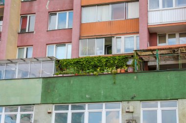 Bej, turuncu ve yeşil cepheli çok katlı bir apartman, balkonları ve canlı yeşil bir duvarı var..