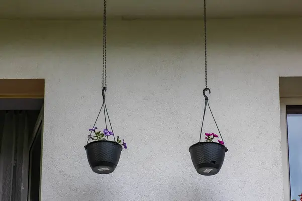 Beyaz bina duvarına asılmış iki siyah çiçek sepeti simetrik bahçe dekorasyonu oluşturuyor.