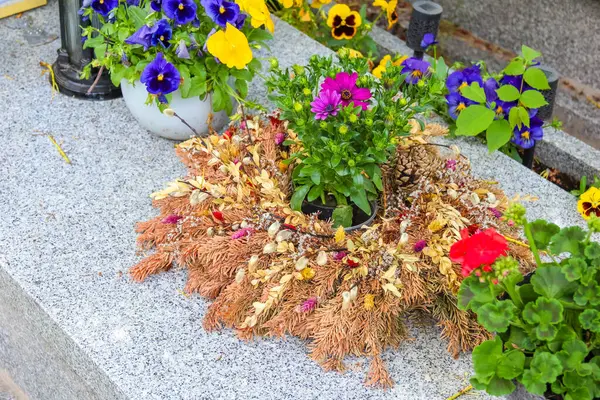 Renkli bahar çiçekleri ve bitkiler canlı çiçeklerle dekoratif bahçe vitrininde düzenlenir.