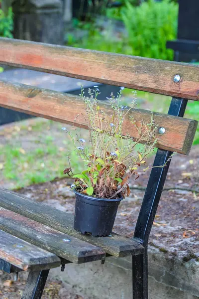 Metal çerçeveli ahşap saksı tezgahı bahçe çalışma alanı ayarında küçük saksılar.