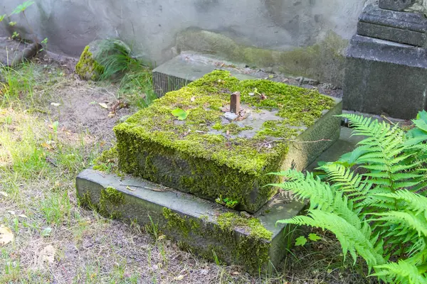 Yosun kaplı taş mezar dekoratif oymalı elementlerle huzurlu mezarlıkta doğal yeşil halı oluşturuyor.