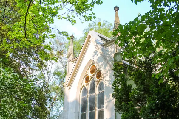 İlkbaharda yeşil ağaçlarla çevrili sivri kemerli Gotik kilise kulesi.