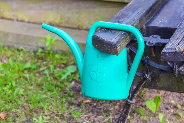 Mavi plastik sulama tenekesi mezarlığın bahçesinin bakım alanının yakınına yerleştirilmiş.