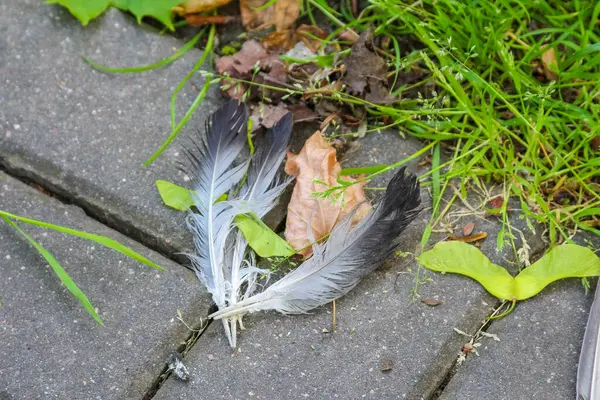 Bahçe atıkları ve enkazın bulunduğu beyaz plastik torba mezarlık yolunun yanına konmuş.