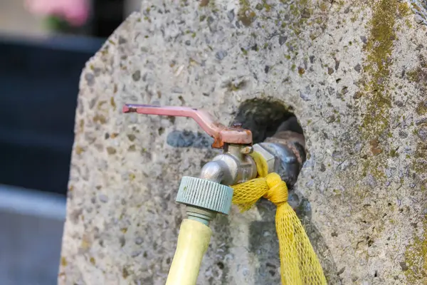 Yeşil yapraklarla çevrili, küçük metal bir musluğun etrafına sarılı sarı bir hortum ile yıpranmış taş bir duvar..