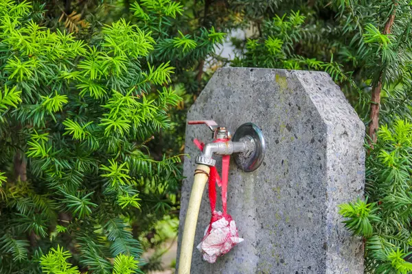 Yıpranmış bir taş heykel, muhtemelen dini bir heykel, yüzeyine yeşil bitkilerle çevrili küçük kırmızı bir çiçek yerleştirilmiş..