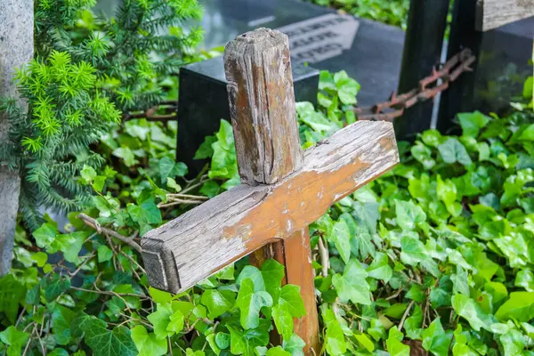 Kırsal ahşap bir haç, muhtemelen bir mezar taşı, yemyeşil bitki örtüsünün ortasında, metal bir zincir ile dikiliyor..