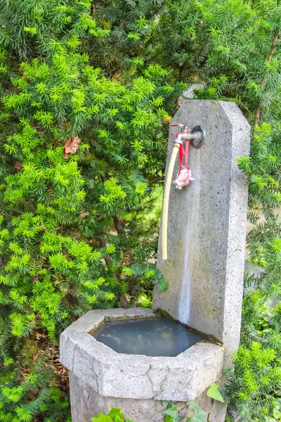 Üzerinde haç şeklinde bir haç olan beyaz taş bir anıt, canlı yeşil yapraklarla çevrili, muhtemelen bir mezarlıkta..