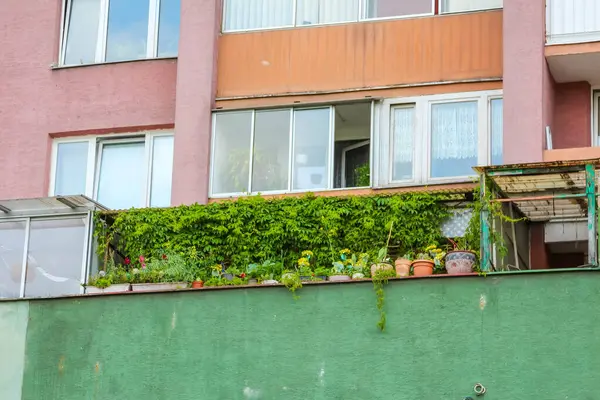 Çok renkli cephesi ve yeşil duvarları olan modern bir apartman dairesi. Şehir mimarisi ve balkonları sergileniyor..