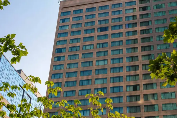 Uzun, modern, vahşi bir bina. Pek çok pencerenin tekrarladığı bir yüzü var. Parlak bir gökyüzüne karşı kurulmuş..