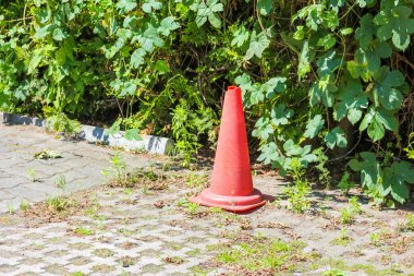 Yeşil bitki örtüsü yakınına yerleştirilmiş turuncu trafik konisi inşaat veya bakım bölgesi sınırlarını belirliyor