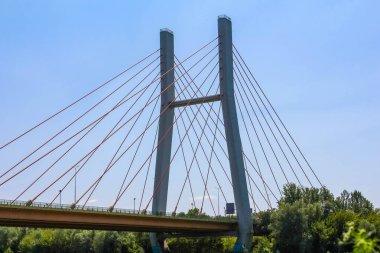 Modern kablo destekli köprü nehir boyunca uzanır mavi gökyüzü ve mimari yapıyı çerçeveleyen yeşil ağaçlarla