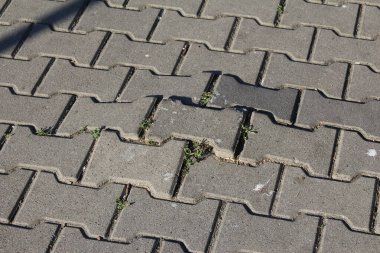 Geometrik ringa balığı deseninde düzenlenmiş gri beton kaldırım taşları desenli yürüyüş yolu yüzeyi oluşturur