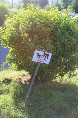 Park alanındaki yemyeşil yeşilliklerle çevrili bir direkte köpek gezintisi yasaktır.