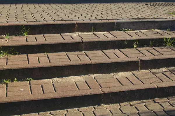 Tahta kaldırım yolu mesafeye doğru uzanıyor doğal açık hava ortamında doğrusal perspektif oluşturuyor.