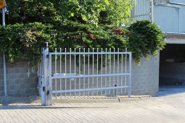 Beyaz metal güvenlik kapısı ve duvarlarında büyüyen yeşil sarmaşıklı modern apartman girişi.