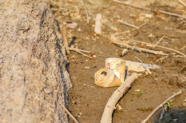 Doğal desenleri ve organik yüzey oluşumlarını gösteren yıpranmış ağaç kabuğu dokusunun yakın plan ayrıntıları