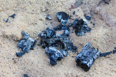 Kumsala dağılmış mavi-siyah midye kabuğu koleksiyonu doğal deniz manzarası yaratıyor.